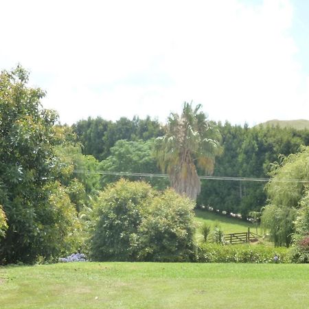 Paradise Grove Whangamata Exterior foto