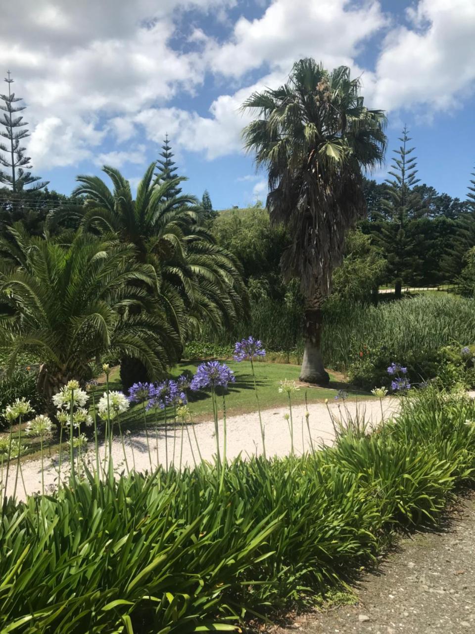 Paradise Grove Whangamata Exterior foto